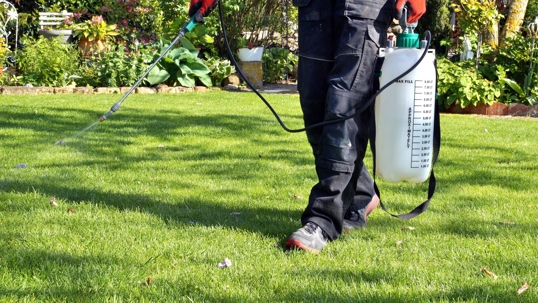 Treating yard for pests
