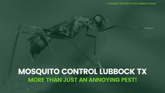 Mosquito control