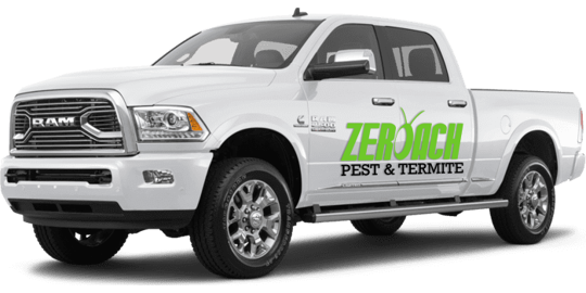 Zeroach truck